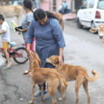 Stray Dogs Verdict LIVE UPDATES from Supreme Court
